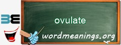 WordMeaning blackboard for ovulate